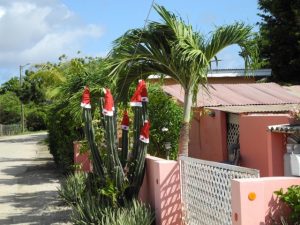 Décoration de Noël