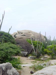 Montagne de roches et cactus