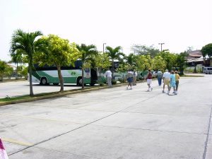 Les autobus qui nous ramènent au train