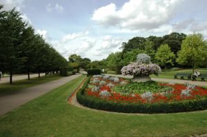 Les fleurs du Regent's Park ( près de notre hôtel)