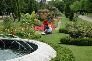 Pique-nique au Regent's Park ( près de notre hôtel)