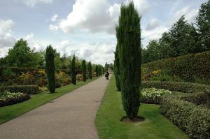 Regent's Park ( près de notre hôtel)