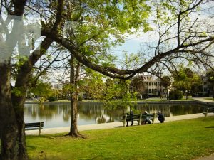 Très beau parc