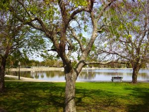 Très beau parc