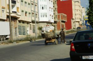 L'auto et le mulet