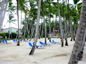 Sur le bord de la plage