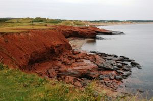 Les plages rouges de Cavendish