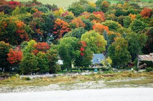 C'est l'automne