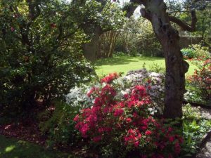 Jardin de la maison Haute-Ville (Victor Hugo)