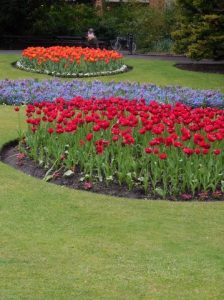 Jardin botannique