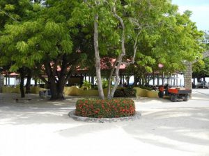 Kiosque au port