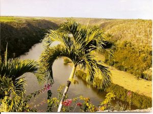 Rivière Chavon