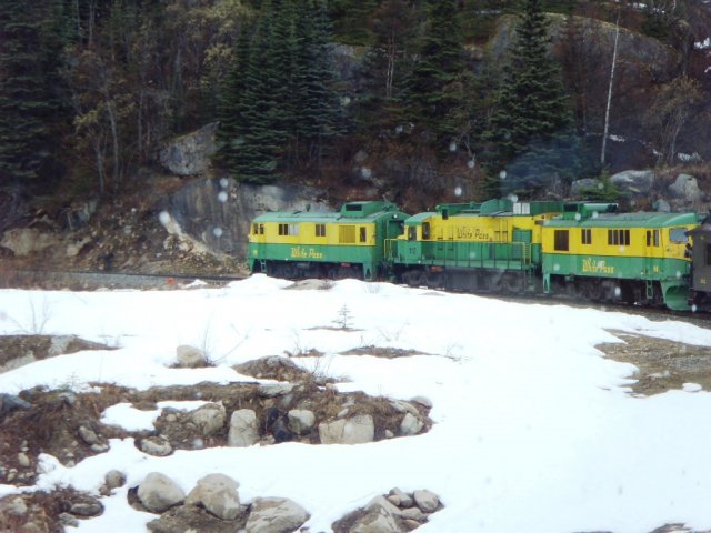 Train de la White Pass