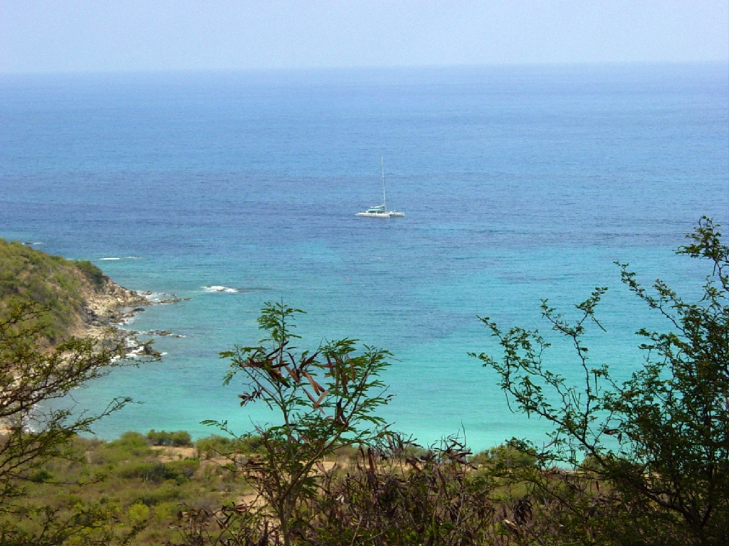 Un catamaran au large